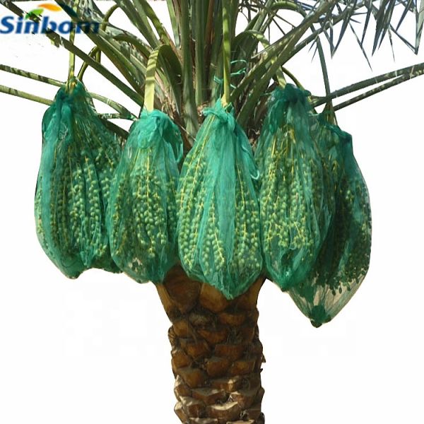 UV Protected Anti-Bird PE Plastic Fruit Package Bag for Date Palm 54g or Customized Weight
