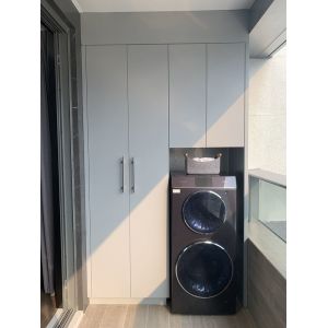 Wholesale Multifunctional Alocasia Balcony Laundry Storage Cabinet High Durability from china suppliers