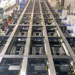Wholesale 360° Rotational Scanning Plum Application 8 Lanes Industrial Automation System from china suppliers