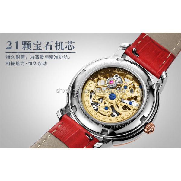 Seagull Movement 3ATM 5ATM Luxury Automatic Mechanical Watch