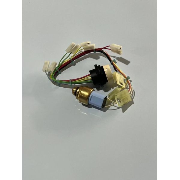 923855.1825 4212557 Wiring harnesses Kalmar Reach Stacker Parts 3