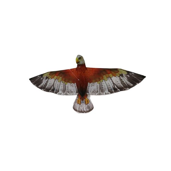 Easy Carry Polyester material 3D Eagle Kite , Single String Kite For Beginner Playing