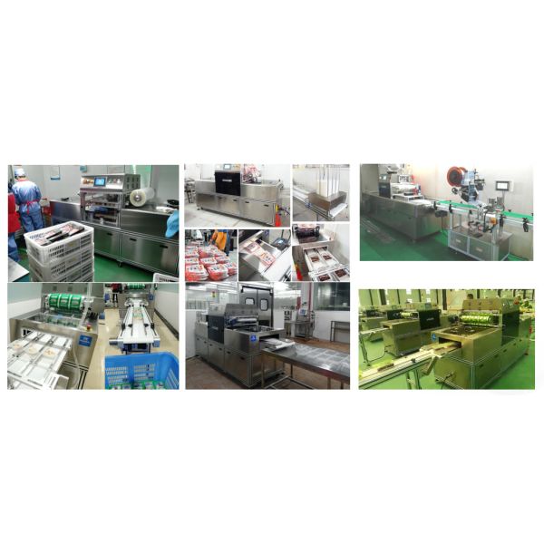 Semi Automatic Modified Atmosphere Packaging Equipment Skin Vacuum Sealer