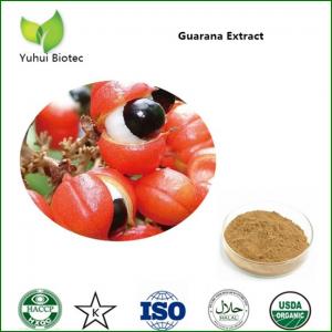 Wholesale Guarana Seed Extract,guarana extract,guarana powder,guarana extract powder from china suppliers