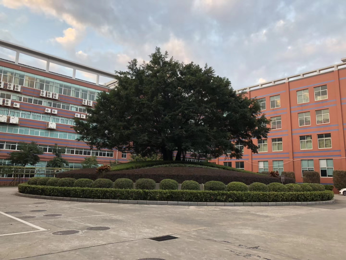 Natural Silver Ground Mount for Solar Panel Installation Pre-assembled and Customization