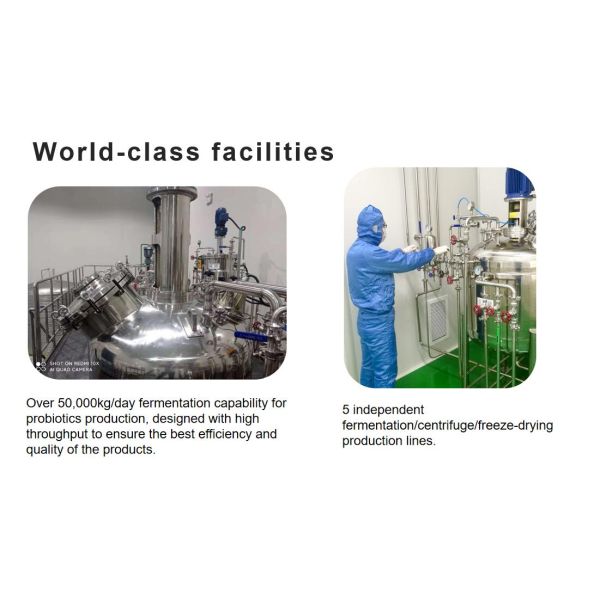 Pineapple Flavor Powder 500g for Biscuits and Confectionery