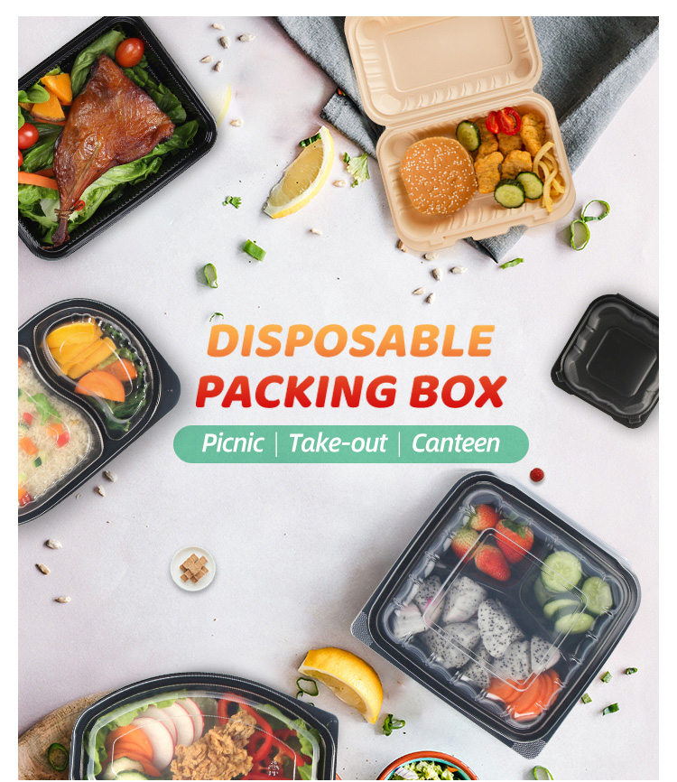 Lunch Food Disposable Container Rectangular PP Plastic Disposable Microwave