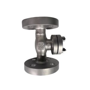 Flange Cryogenic Check Valve