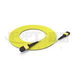 Switchable Polarity MPO patch cable With A/B Polarity Conversion And Key