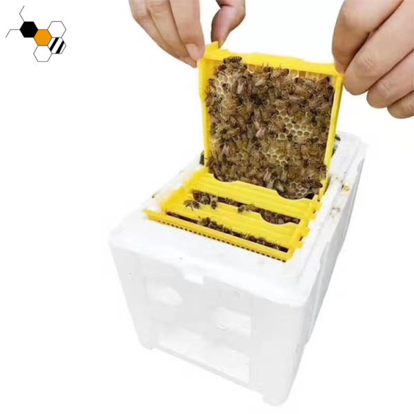 Styrofoam Queen Bee Mating Box 24*15*16.5cm Queen Rearing Nucleus Hive