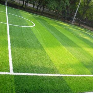 Natural Looking Realistic Artificial Grass Soccer Field Custom Specification