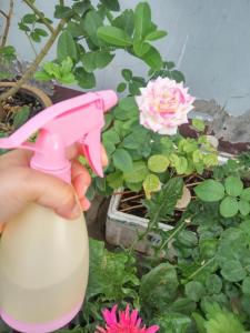 TS001 500ML plstic sprayer/garden/water/pressure/handle/agriculture/trigger