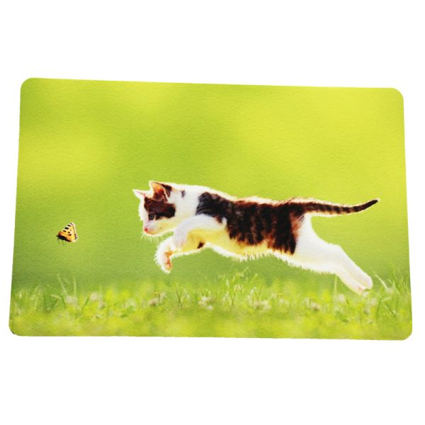 Minglu BFM-015  Manufacture of Non Slip Soft Absorbent  Floor Mat welcome door mat