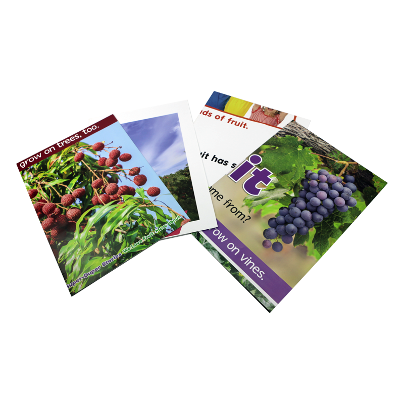 Matte Varnishing C2S Paper Travel Advertisement Poster