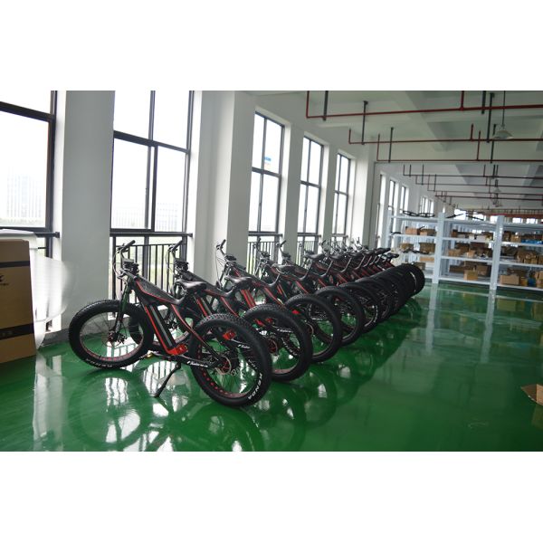 Electric Bike 29 Inch 11 Speed Carbon Fiber Frame Mountain Bicycle with 48V Voltage