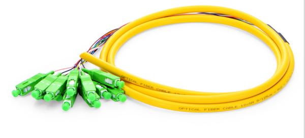 Quality Single Mode Bunch Pigtail Patch Cord 1.5m SC APC 12 Fibers OS2 Yellow Color for sale