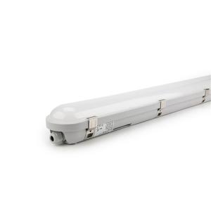 Dust & IP66 Water Resistant Tri-Proof LED Light With Surface or Ceiling Mount