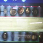 Economic Large Capacity Inshell Chestnut Sorting Machine With 8 Exits