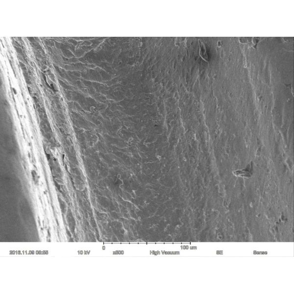 Magnification Max 60000X Scanning Electron Microscope 15nm Resolution Optional EDS