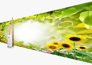 Wholesale Picture Printing Automatic Wall Painting Machine 2000mm Net Height Drawing from china suppliers