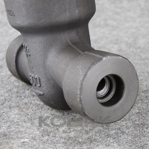 Forged Steel Swing Check Valve with Pressure Seal Bonnet