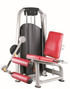 China Seated Leg Curl on sale