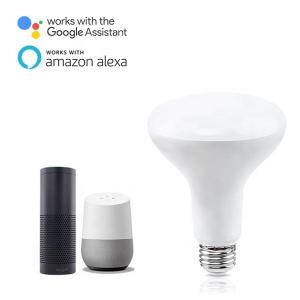 850LM RGB Smart WiFi LED Light 6000K 9W Tuya Led Bulb Phone App Control