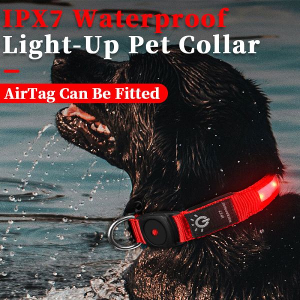 LED Dog Collar Waterproof Medium Large Dogs AirTag Holder Flash Light Up Customized Logo Design