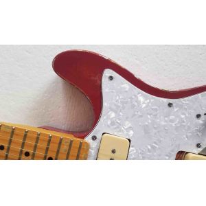 Custom Flower Power F-Holes Tele Electric Guitar