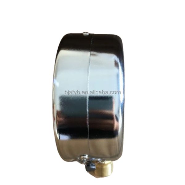 Pressure Gauge Customized Support and OEM Service with Die Cast Aluminum Case