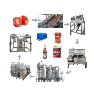 Wholesale 380V Fully Automatic Tomato Paste Processing Machine Water Saving For Factory from china suppliers