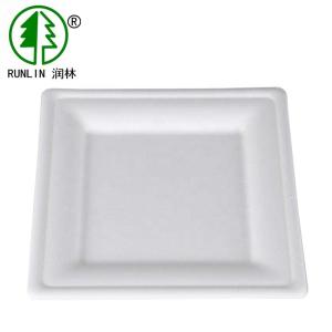 China Birthday Cake  Eco Friendly Dishes Easy Takeaway SGS Disposable Rectangular Plates on sale