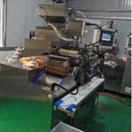 Servo motor automatic Large Scale Softgel Capsule production Machine Various
