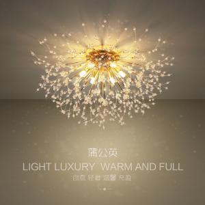 China Dandelion Ceiling Light Living Room Kitchen Decor Firework Snowflake Ceiling light(WH-MA-168) on sale