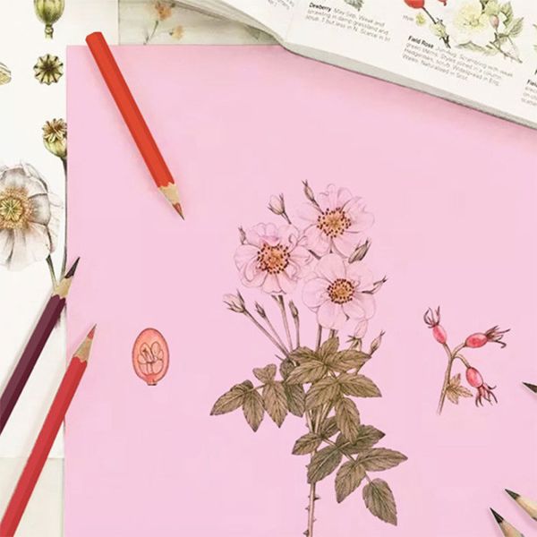 A3 A4 Offset Printing DIY Colored Cardstock Paper