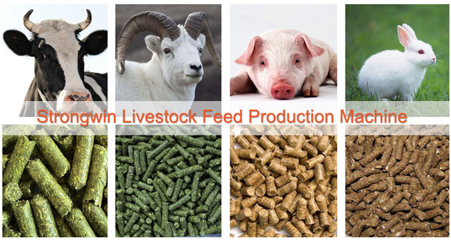 animal feed production line