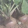 Buy cheap Anti - Aphids Insect Mesh Netting 50*25 Mesh 100% HDPE Materials from wholesalers