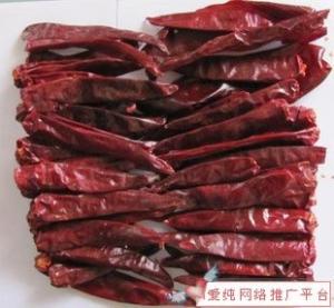 Wholesale Natural Red Yidu Chili With Stem Jinta Chilli Pepper seasoning food from china suppliers