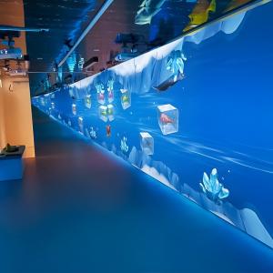 Wholesale Large 3D Immersive Wall Interactive Wall Projection System For Hotel from china suppliers