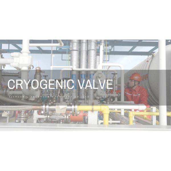 Flange Cryogenic Check Valve