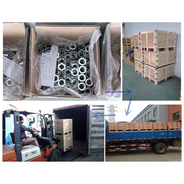 Silver / Golden Hydraulic Hose Fitting , Hydraulic Pipe Fittings Galvanized Zinc Appearance
