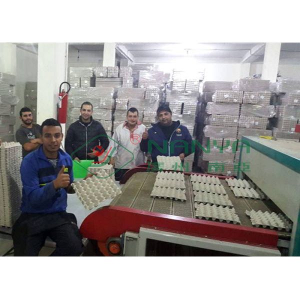 Pulp Molding Paper Egg Carton Machine , Automatic Egg Trays Production Line