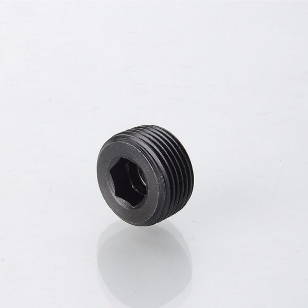 OEM Factory Supply Hydraulic Tube Fitting BSPT Male Hollow Hex Plug 4tn