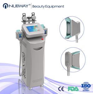 China Cryolipolysis fat freeze slimming machine/cryolipolysis slimming machine/cryolipolysis on sale