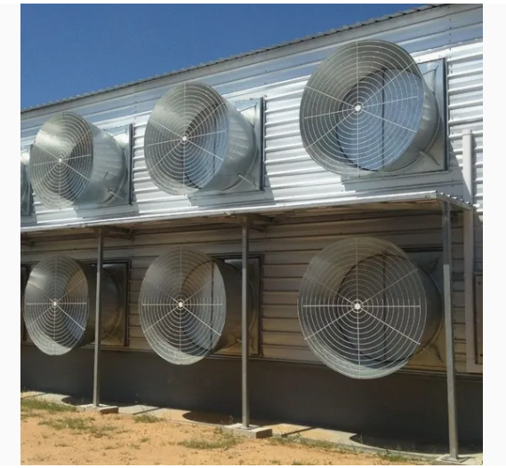 Economical And Practical Steel Structure Livestock Shed Henhouse Duck Shed