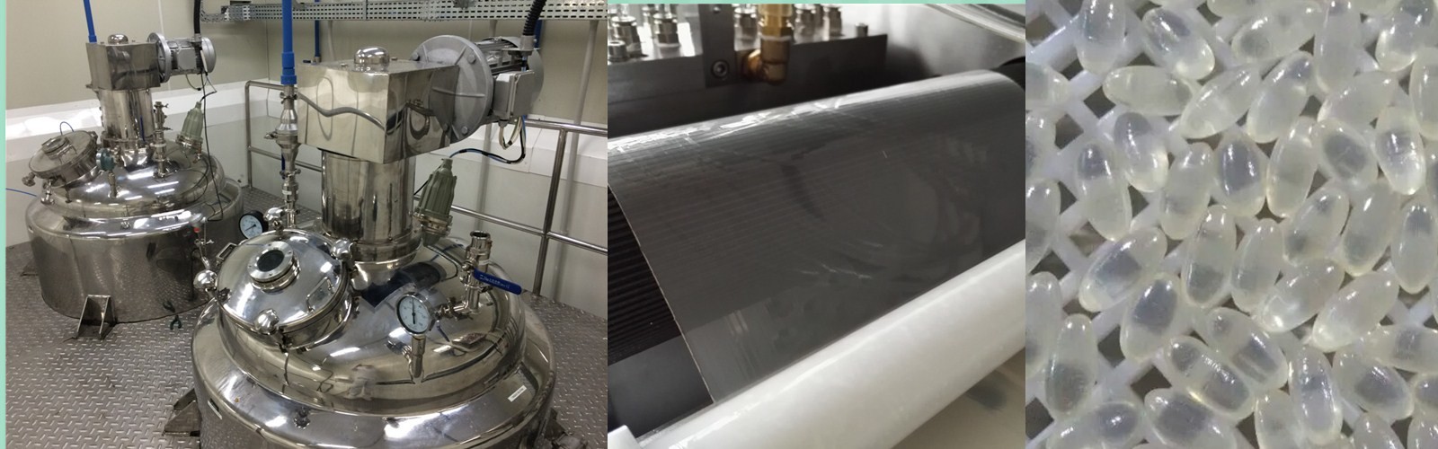 SS316 Capsule Filling Machine Parts Soft Gelatin Encapsulation Production