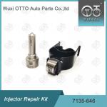 China 7135-646 Delphi Injector Repair Kit For Injector 28232251/ R03101D/R05102D for sale