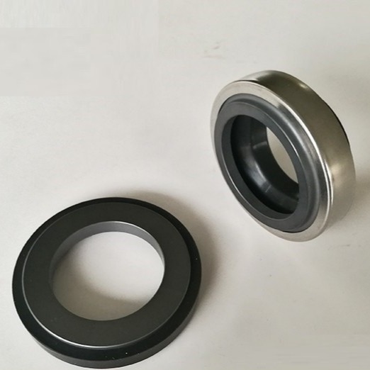 Wholesale BT-AR Single Coil Spring Roten Burgmann Mechanical Seal from china suppliers