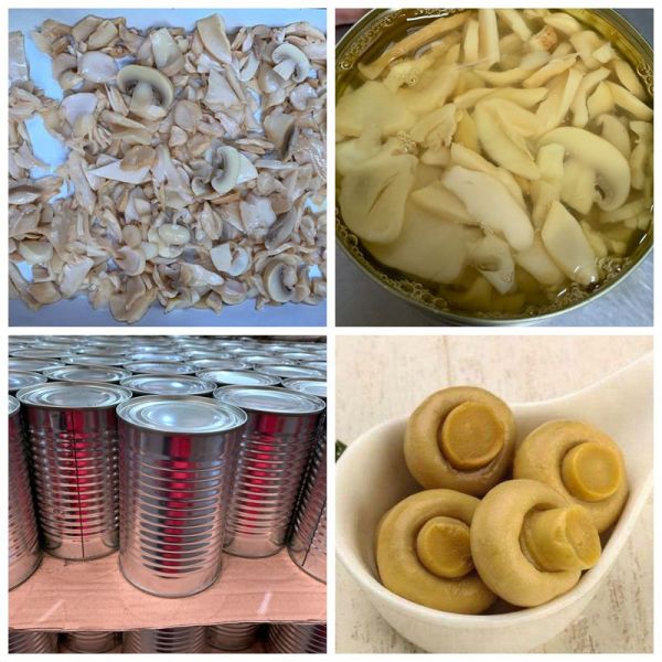 5.29oz Canned Champignon Mushroom Slices Pieces