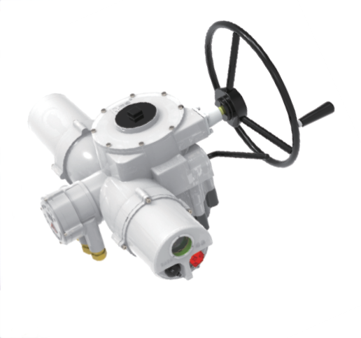 Wholesale RAGA RA/RQ/RQM Intelligent electric actuator RQIII020-040 RQMIII12-20 RQIII060 RQMIII54 RQIII100 RQIII150 RQIII200 RQIII250 RQIII300 RQM03 RQM06 RQM12 from china suppliers